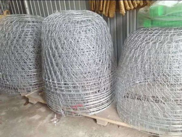 Bội Gà Kẽm 7 tấc, 8 tấc và 1 mét - Ảnh 3